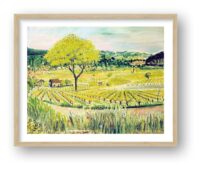 Vineyard, St Juliet, Lot Valley framed Gi Clee print by Susan Horsfield