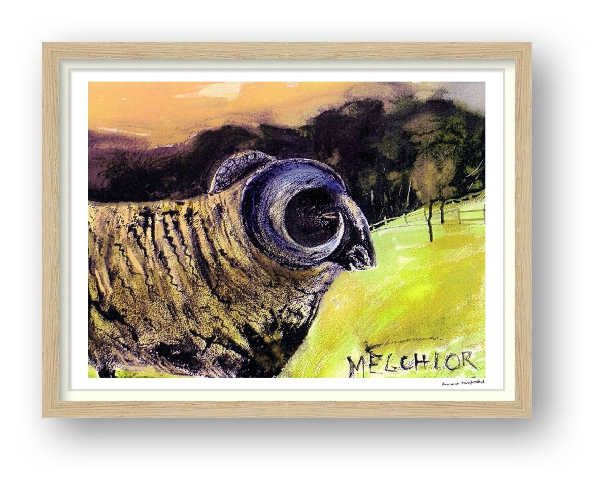 Artists on Cards Ltd 67dfbd3b-c171-4955-9a78-b16f8b4391e0 Melchior the Ram – Framed Art Print by Susan Horsfield  