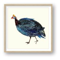 The Guinea Fowl Strut guinea fowl fine art print by Susan Horsfield in natural wood frame and white mount