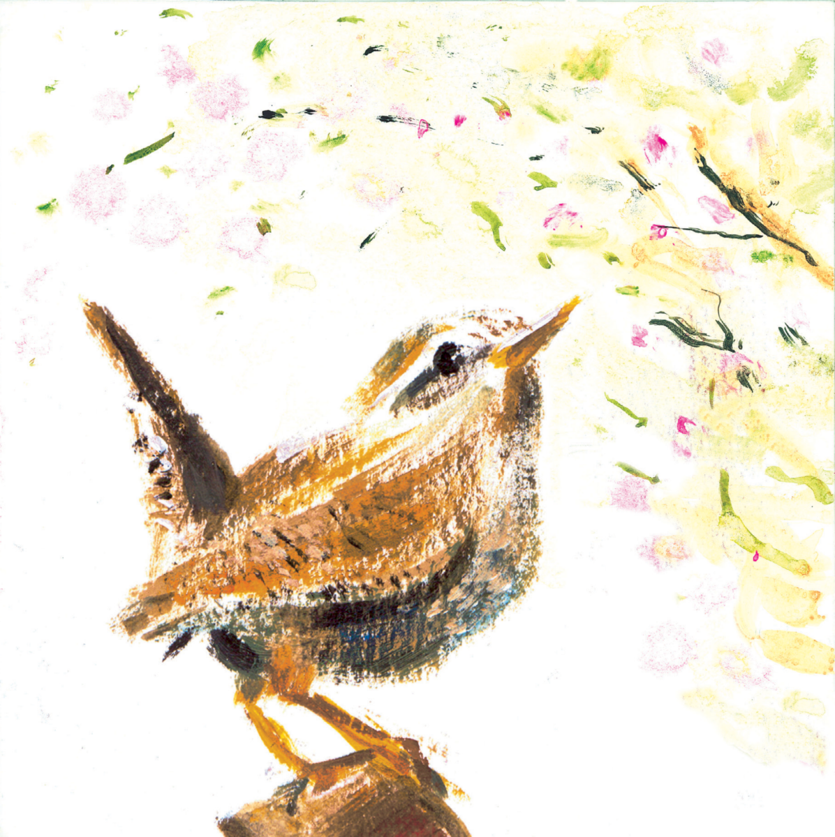 Charity Greeting Cards