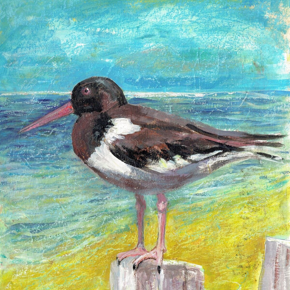 Artists on Cards Ltd cb278170-4b00-4e1b-96e7-48ad36223ded The Oystercatcher – Framed Giclée Coastal Bird Art Print  