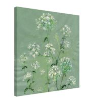 Cow parsley botanical canvas print by Susan Horsfield