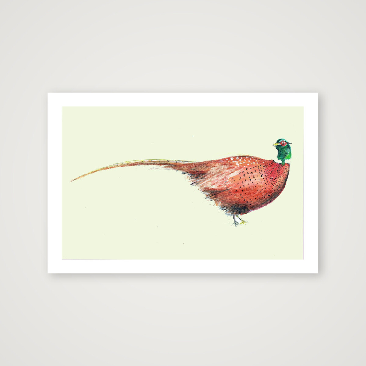 Pheasant Study – Framed Giclée Country Bird Print - Image 2