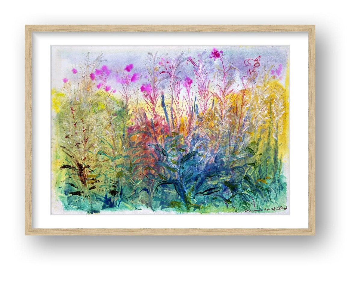 Artists on Cards Ltd 718a5b0d-27e1-4abe-aae8-6d0813b0a1e8-1 Seeding Willowherb - Botanical GiClee Print  